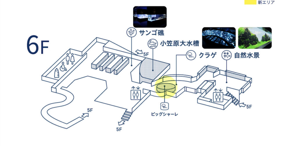 すみだ水族館の6階フロアマップ